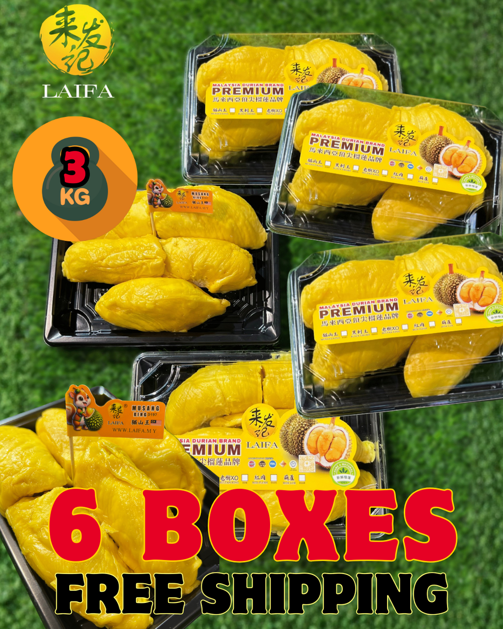 LAIFA FRESH D197 PAHANG MUSANG KING 新鲜彭亨州猫山王 (500G PER BOX)