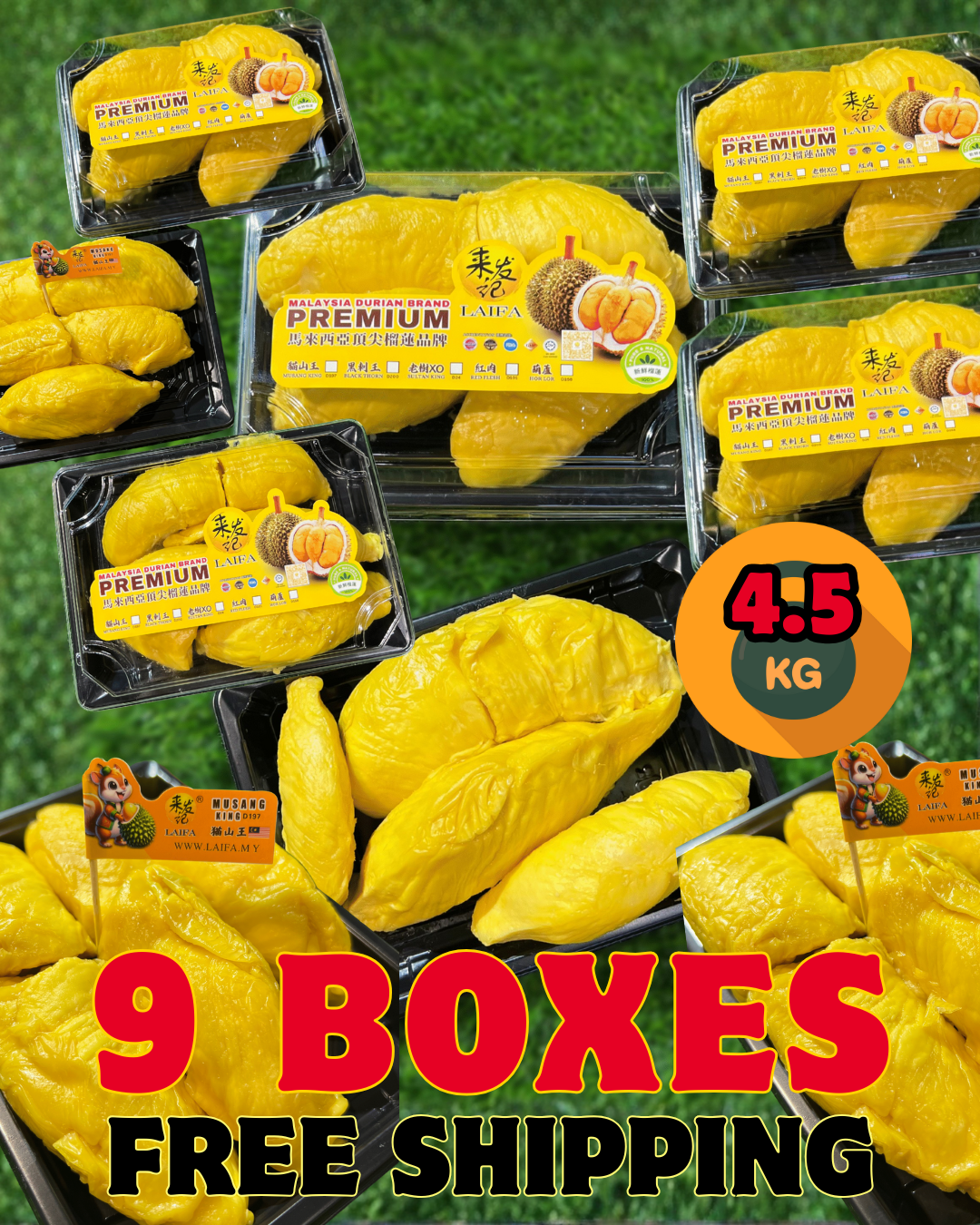 LAIFA FRESH D197 PAHANG MUSANG KING 新鲜彭亨州猫山王 (500G PER BOX)