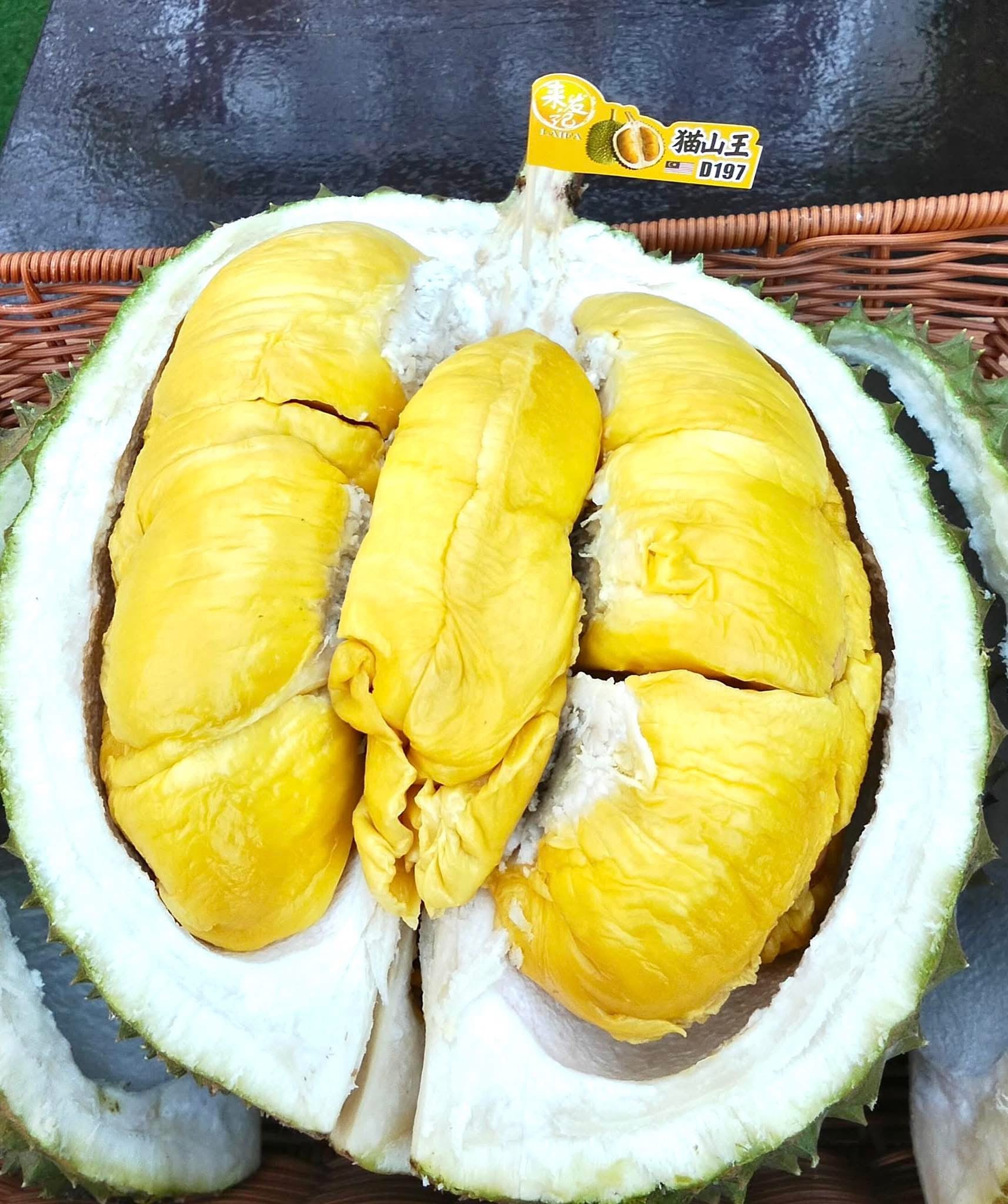 LAIFA FRESH D197 PAHANG MUSANG KING 新鲜彭亨州猫山王 (500G PER BOX)