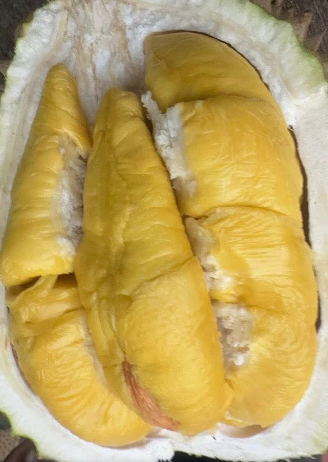 LAIFA FRESH D197 PAHANG MUSANG KING 新鲜彭亨州猫山王 (500G PER BOX)